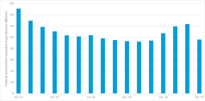A bar graph shows the amount of federal government subsidies expenditures the U.S. government had from 1/1/2022 to 10/1/2025.