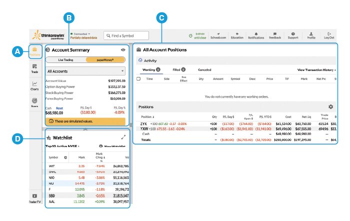 Screenshot of thinkorswim web platform showing the Account Summary, Positions panel, Watchlist, and position details in the selected account.