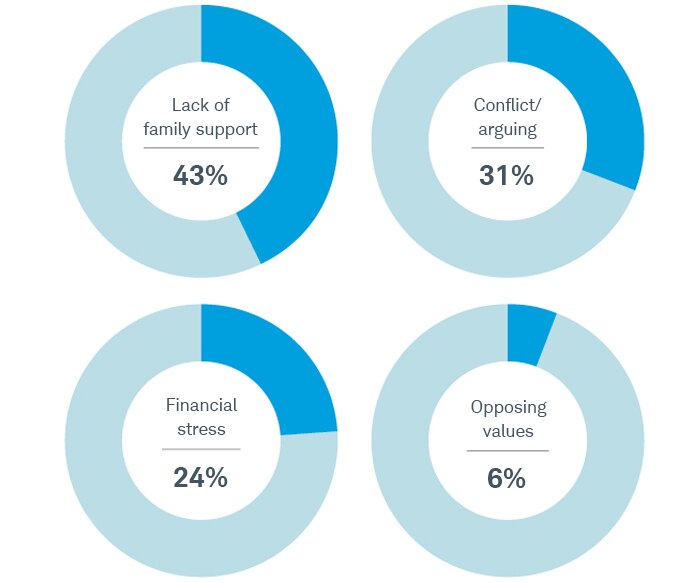 Common causes of divorce mentioned by couples include lack of family support (43%), conflict/arguing (31%), financial stress (24%), and opposing values (6%).