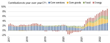 As of June 2022, the core services component was the main driver of CPI, contributing 3.2% to the headline gain of 9.1%. 