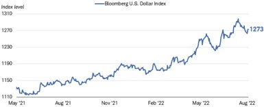  Chart shows the Bloomberg U.S. Dollar Index between May 2021 and August 1, 2022. The index was at 1,261 as of August 1, down slightly from its recent peak of 1297 on 7/14/2022.
