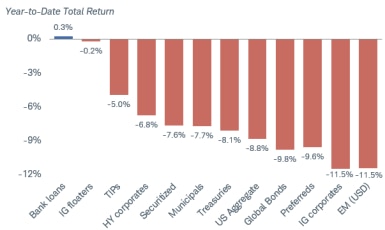 The year-to-date total returns of various fixed income investments have almost all been negative. They range from IG floaters at -0.2% to Emerging Market (USD) at -11.1%. 