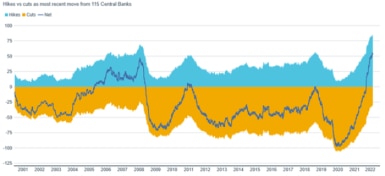 Line chart showing number of central banks out of 115 hiking rates less cutting rates, with shaded areas showing total central banks hiking rates and total central banks cutting rates.