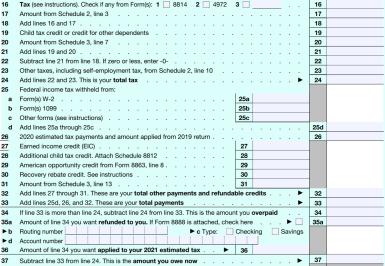 Image of Form 1040 for 2020 with lines 24, 25, 34 and 37 highlighted